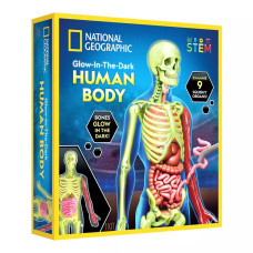 Науковий анатомічний ігровий набір National Geographic Glow In The Dark Human Body