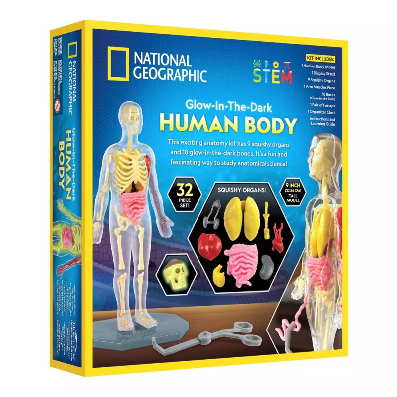 Науковий анатомічний ігровий набір National Geographic Glow In The Dark Human Body