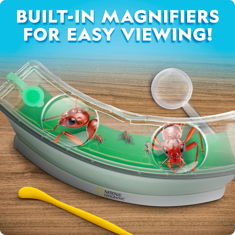 Набір STEM Мурашиний тераріум National Geographic Ant Habitat Kit
