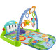 Розвиваючий килимок Fisher-Price Baby Play Mat HBB73