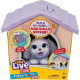 М'яка іграшка сюрприз цуценя Little Live Pets My Puppy s Home Minis Pink & Purple Home