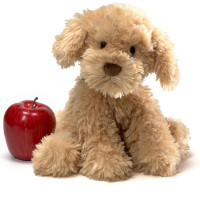 М'яка іграшка цуценя GUND Designer Pups Collection Nayla Cockapoo Puppy Plush