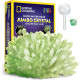 Набір STEM для вирощування гігантських кристалів National Geographic Jumbo Crystal Growing Kit Grow Your Own Giant Glow