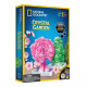 Науковий набір Кристалічний сад National Geographic Crystal Garden RT Box Science Kit